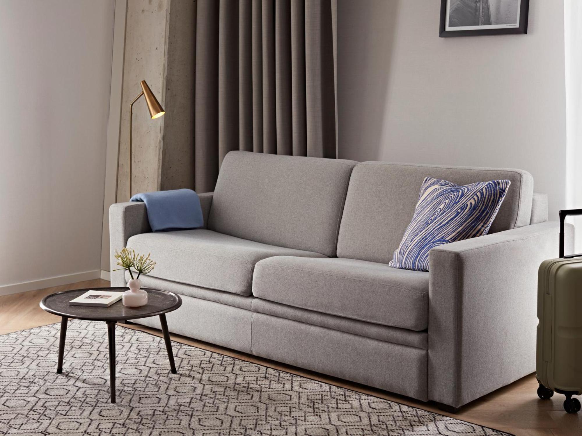 1 Bedroom Apartment Sofa Bed